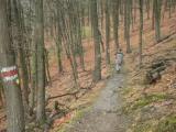 Wanderweg ber den Michaelerberg - Markierung Welterbesteig 