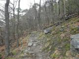 Wanderweg ber den Michaelerberg - Markierung Welterbesteig 