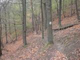 Wanderweg ber den Michaelerberg - Markierung Welterbesteig 