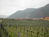  Fernblick nach Wsendorf in der Wachau 