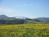  schner Fernblick 