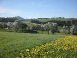  schner Fernblick Richtung tscher 