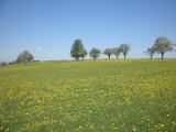  Blick zum Malberg 