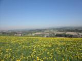  herrlicher Fernblick 