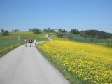  Blick auf dem Wanderweg 