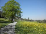  Wanderweg nach Oed bei Purgstall 