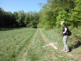  schner Wanderweg und gute Wegmarkierung 