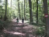  schner Wanderweg 