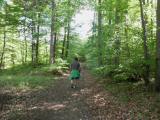  schner Wanderweg zum "Weien Kreuz" 