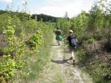  Wanderweg nach Siegenfeld 