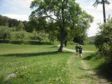  Wanderweg nach Siegenfeld 