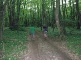  Wanderweg im Regen entlang des blhenden Brlauchs 