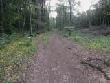  schner Wanderweg, leider im Regen  