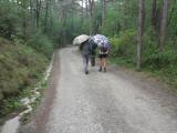  Wanderweg nach Mdling im Regen 