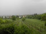  Fernblick nach Mdling im Regen 