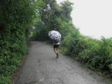  Wanderweg nach Mdling im Regen 
