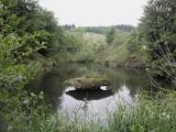  kleiner Teich mit Insel 