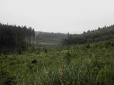  schner Fernblick leider im Regen 