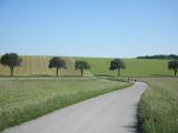  Wanderweg bei Dorfern 