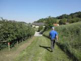  Wanderweg bei Mechters 