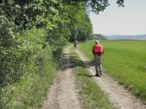  schner Wanderweg am Rand des Waldes 