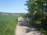 Wanderweg entlang der Teiche, in der Ferne Rassing 