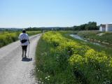  Wanderroute entlang der Perschling 