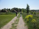  Wanderweg entlang der Perschling bei Untergrafendorf 