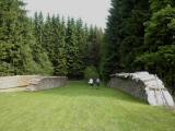 viel Holz 