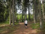  Wanderroute durch den Wald des Kreuzdonnerbergs 