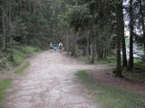  Wanderweg entlang des Edlesberger Teich 