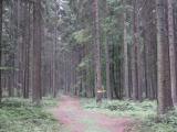  Wanderroute durch den "Weinsberger Wald" 