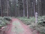  Wanderroute durch den "Weinsberger Wald" 