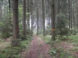  Wanderroute durch den Gemeinde Wald 