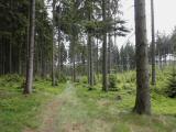  Wanderroute durch den Gemeinde Wald 
