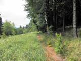  Wanderweg am Waldesrand 