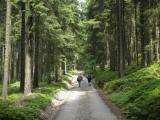  Wanderroute durch den "Weinsberger Wald" 