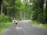 Wanderroute kurz auf der Landstrae durch den "Weinsberger Wald" 