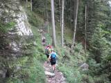 Wanderweg bergan durch den Kaiser Wald zur Vorderkaiserfeldenhtte 