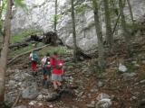 Wanderweg bergan durch den Kaiser Wald zur Vorderkaiserfeldenhtte 