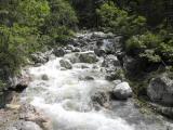  der Kaiserbach beim Steg 