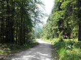  Wanderroute auf dem Gterweg durchs Kaisertal 