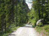  Wanderroute auf dem Gterweg durchs Kaisertal 