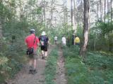  Marathonis auf dem Wanderweg nach Markt Piesting 