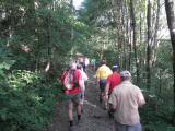  Marathonis auf dem Wanderweg nach Markt Piesting 