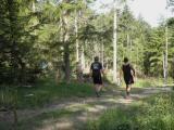  Marathonis durch den Wald des Hausenbergs 