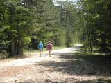  Wanderweg auf dem Sulzberg 