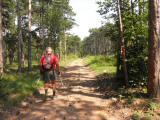  Wanderroute auf schnen Waldwegen 