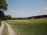  Wanderweg wieder der Sonne 