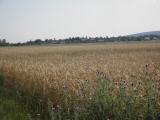  Fernblick nach Steinabrckl 